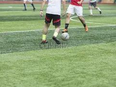 必赢电子,资讯,必赢电子官网,必赢电子官网,必赢电子平台,必赢电子体育,必赢电子APP