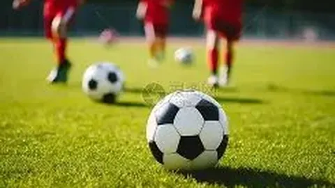 必赢电子 产品 104035 dog