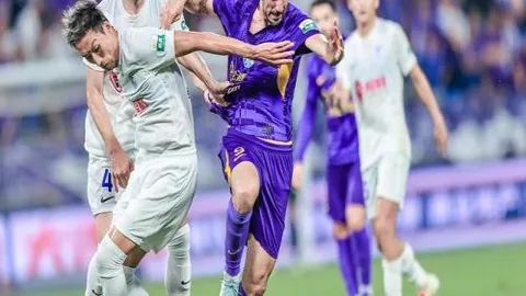 意大利击败荷兰黑马 夺回戴维斯杯冠军