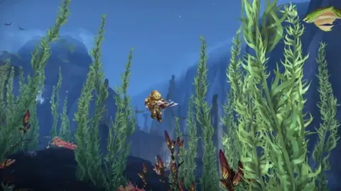 山东泳坛精英季新杰、张展硕春季锦标赛双金得主