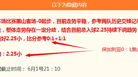 足球盛宴终极指南：主队备战友谊赛，瞄准胜利鼓舞人心
