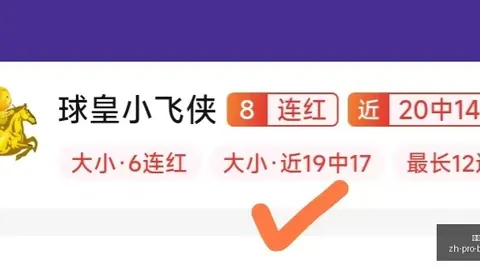 必赢电子 054228 42